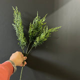 New  Cedar hemlock evergreen greenery