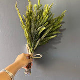 New 16" real touch Norfolk pine pick bundle christmas greenery(VD-FP16)