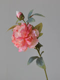 Coral Single Stem Peonies spray also in pink or white