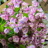 Large Hot Pink sweet pea flower filler Artificial flowers