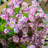 Large Hot Pink sweet pea flower filler Artificial flowers