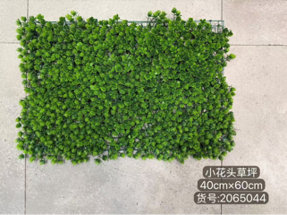New green hedge boxwood panel backdrop thick