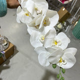 Cream LARGE REAL TOUCH PHALAENOPSIS ORCHID ARTIFICIAL FLOWER