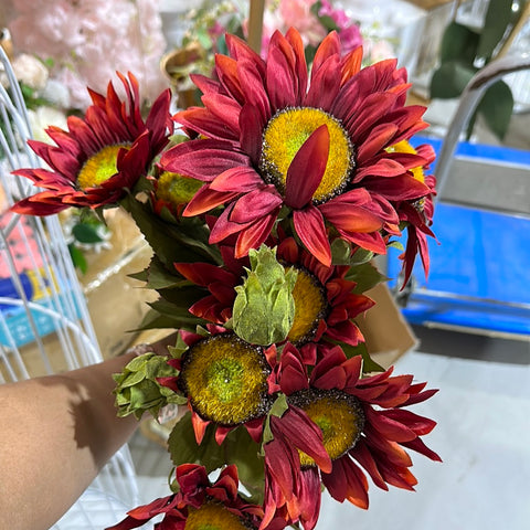 Sunflower burgundy Bunch