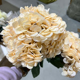 Vintage CHAMPAGNE Hydrangea Bunch new