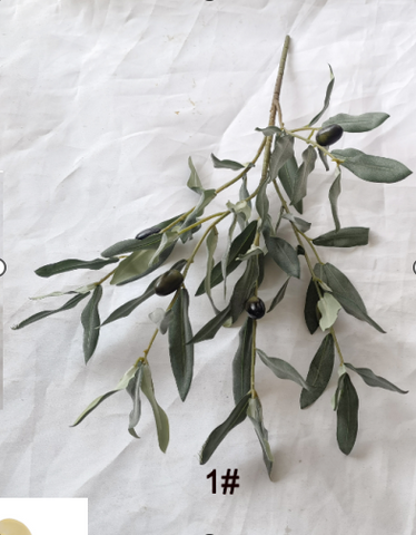 4.5m Olive Tree XDTMB24-44
