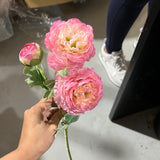 3 head pink Single stem Ranunculus Puffy Spray