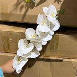 Cream LARGE REAL TOUCH PHALAENOPSIS ORCHID ARTIFICIAL FLOWER