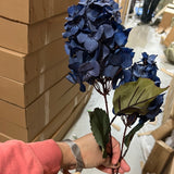 Royal blue 2 head panicle/cone Hydrangea Single Stem spray LILAC