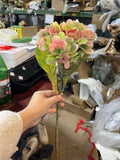 Moist Touch Real Touch Hydrangea Two Tone Peegee pink green