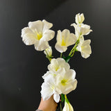 New White Moonflower Spray Artificial Flower