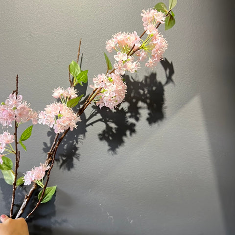 New Pink Single North America Begonia Spray