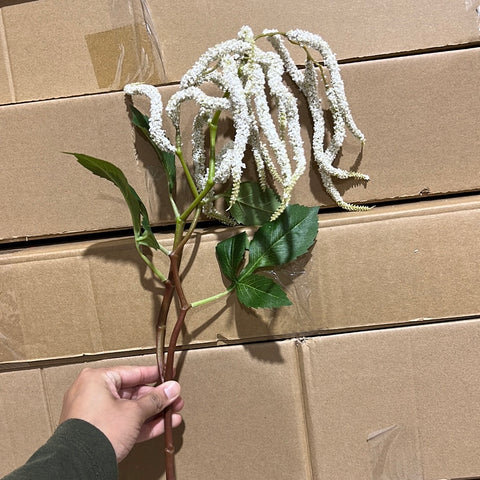 New White Amaranthus Flower single stem filler hanging