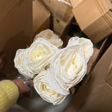 New Burnt edge Rose bunch cream