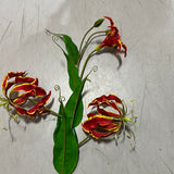 Red Big Gloriosa fire Lily Artificial flowers