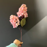 New 2 head panicle/cone Hydrangea Single Stem Spray Pink