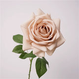 New Moist Touch Open Rose Coffee Pink Dusty