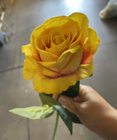 Flannelette velvety feel yellow Single Stem Rose