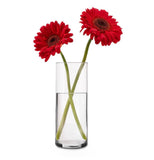 3.6”Dx10”h Clear Cylinder Vase