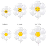 Daisy balloon (s)