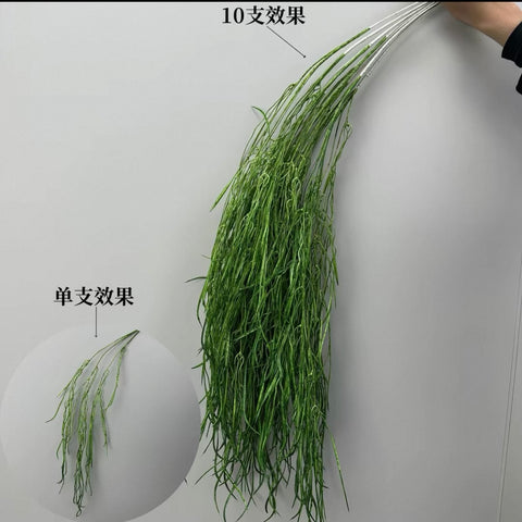 Green hanging hair Greenery