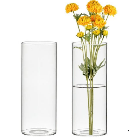 2.5"x8"H Cylinder glass vase MV917-20