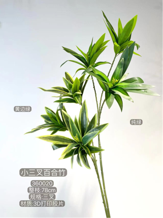 Big green leaf Dracaena reflexa bamboo artificial greenery songs of India