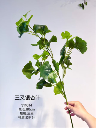 Green single stem ginkgoes greenery