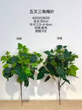 New Begonia leaf bunch for Wedding bougainvillea