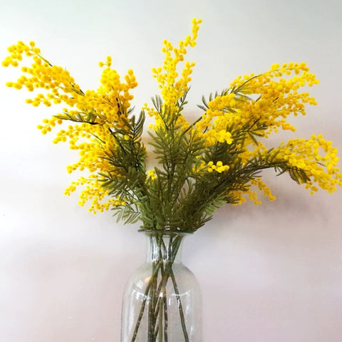 mimosa pudica Spray greenery