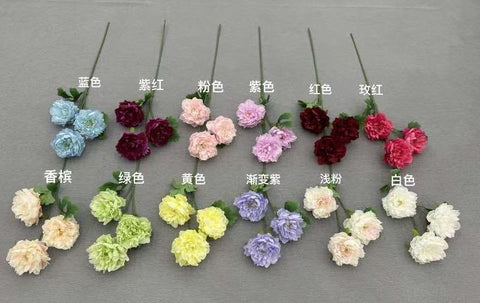 3 head PEONIES PEONY Spray 2026 new long single stem trinity royale