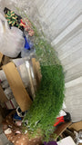 Green Leaf Miscellaneous Greenery Panda//Onion//Grass/airplant/hair