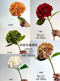 Moist Touch Real Touch Hydrangea (chocolate ) *