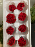 Preserved Carnation Red (box of 8)