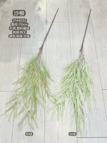Salic cheilophila Willow Greenery sand white green