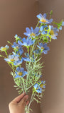 New Mini Baby cosmos sky mum