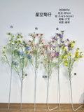 New Mini Baby cosmos sky mum
