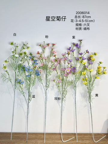 New Mini Baby cosmos sky mum