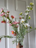 New Mini Baby cosmos sky mum
