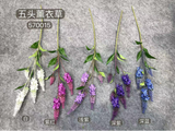 White Long stem Lavender Flower fox tail veronica