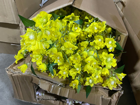 bell flower campanula yellow