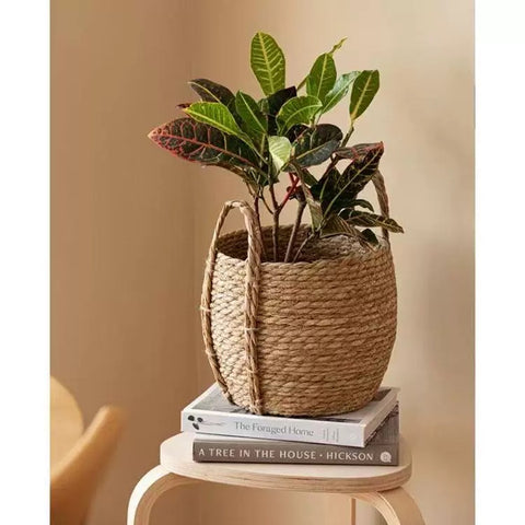 Rattan Basket