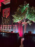 Green Ficus leaf Tree 12 feet/3.6m XDTMB16-21
