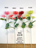 Royal Chrysanthemum long stem premium Green