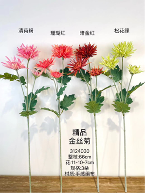 Royal Chrysanthemum long stem premium