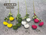 New GREEN trick dianthus filler Pom 3 head
