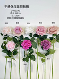 New Light Blue Moist TouchT Open Rose