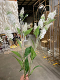 White Long stem Lavender Flower fox tail veronica