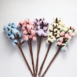 Preserved Dried Cotton bundle of 10 heads (Blue)