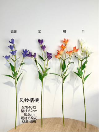 New bell flower campanula orange purple